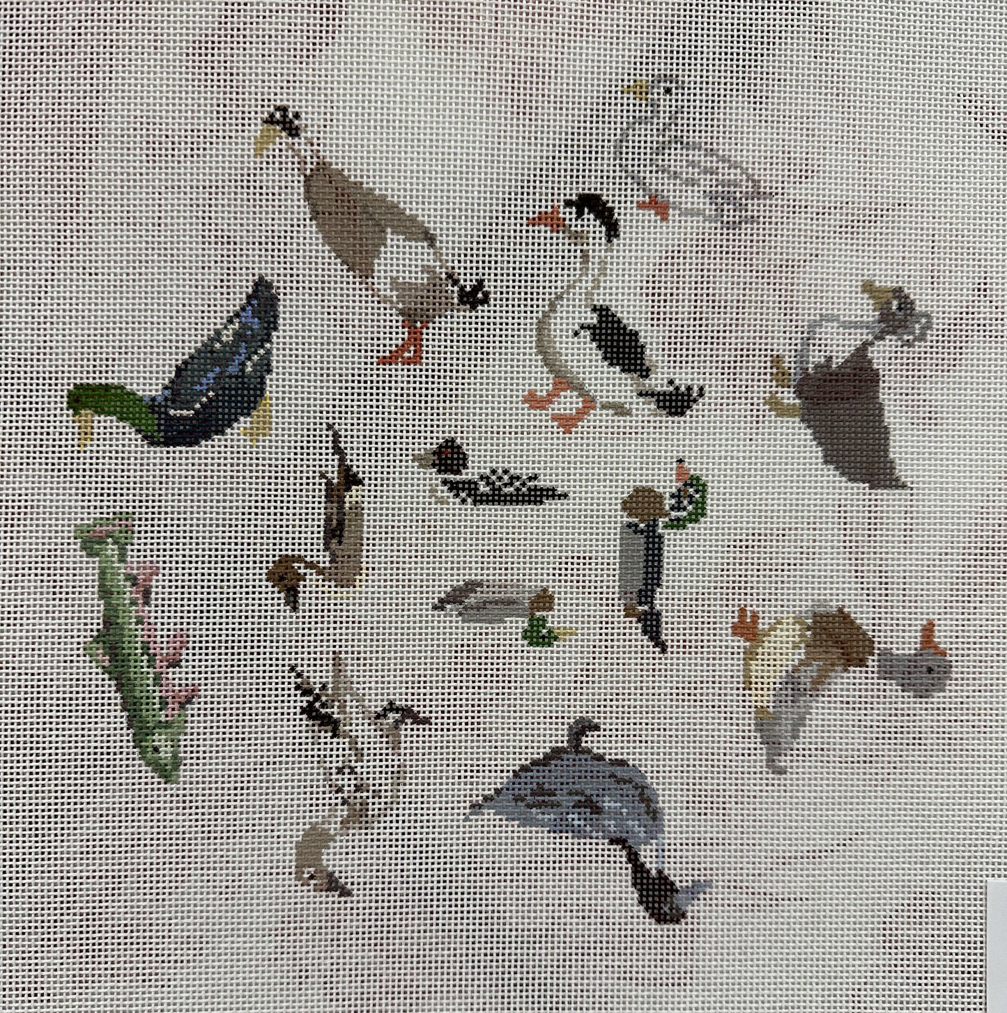 Duck Around and Find Trout