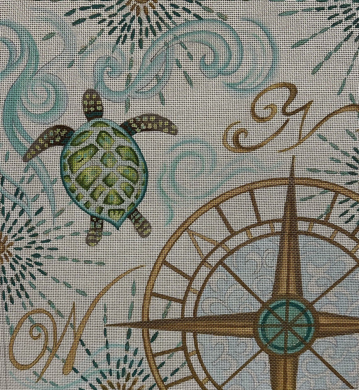 Coastal Turtle