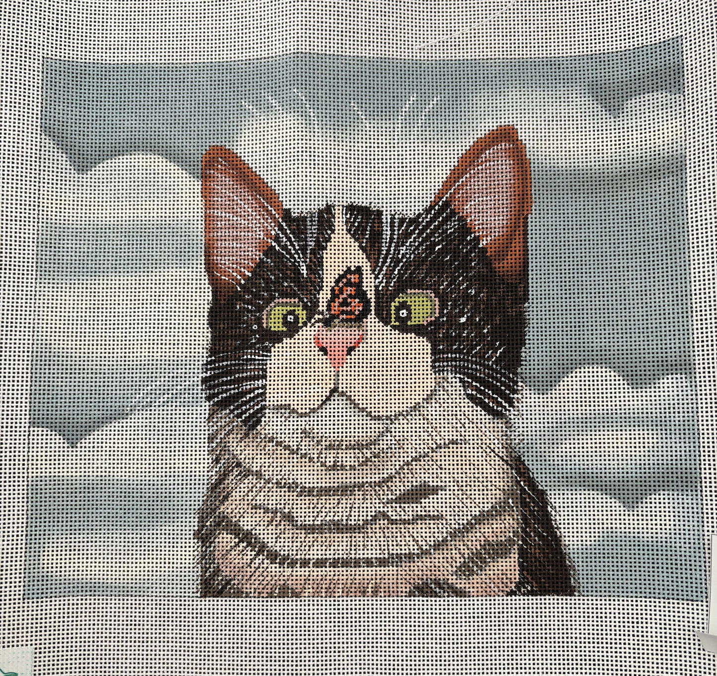 Kitty with Butterfly