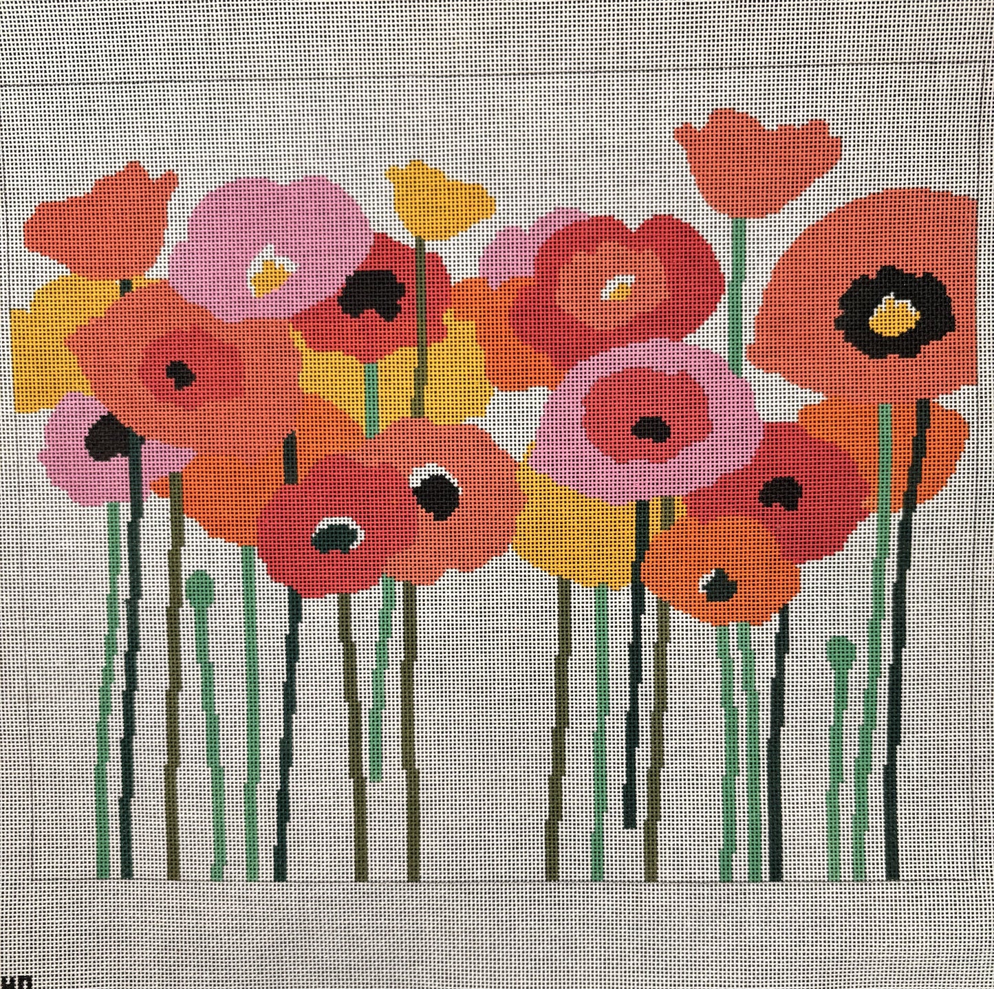Poppies