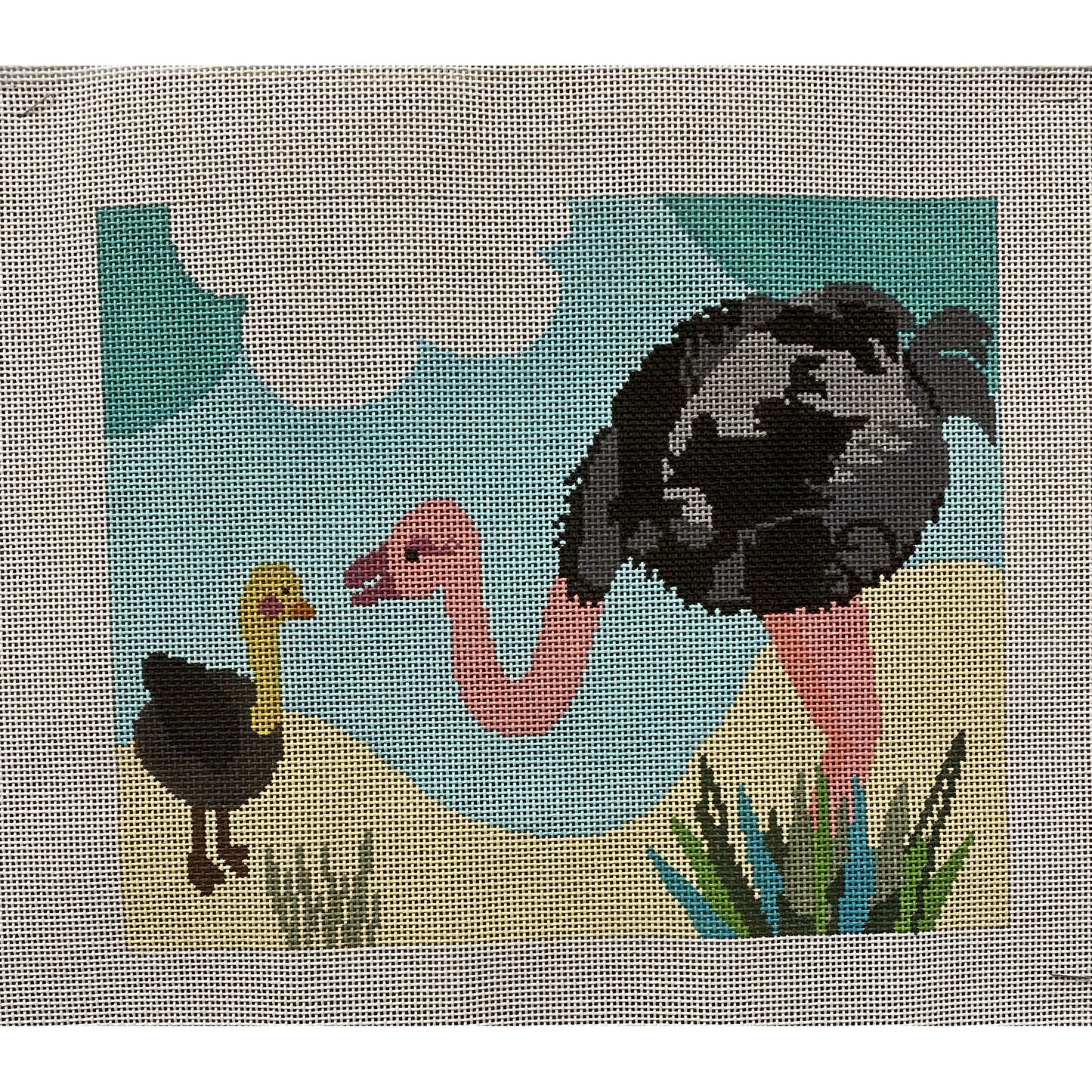 Ostrich canvas - Garden Gate Needlepoint