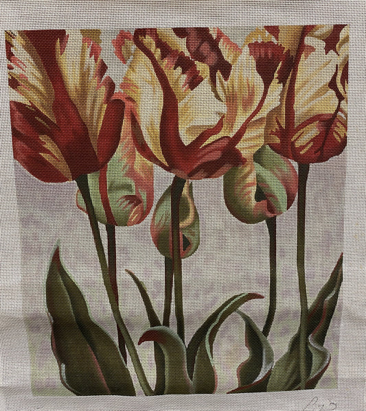 Tulips