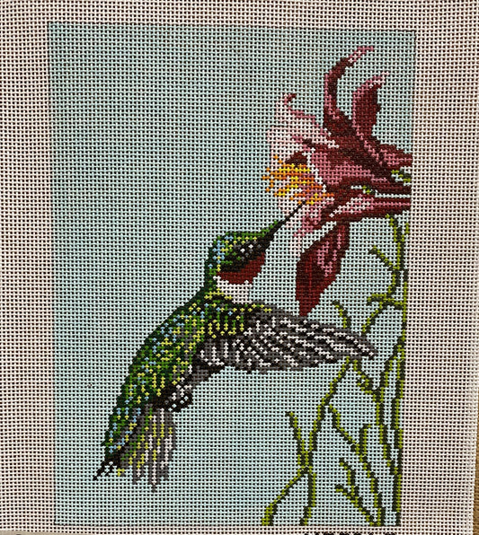 Hummingbird