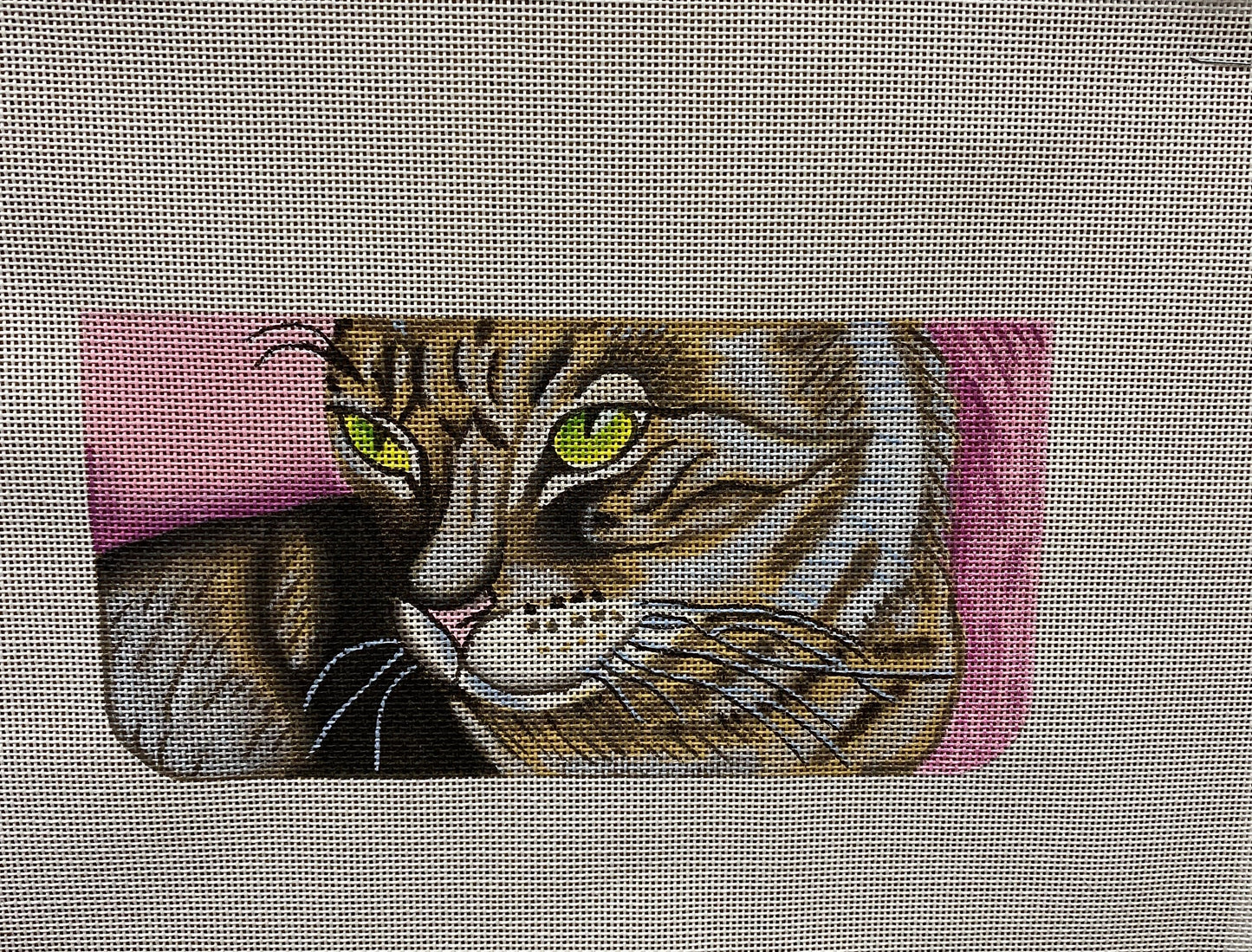 Cat Closeup canvas - Garden Gate Needlepoint