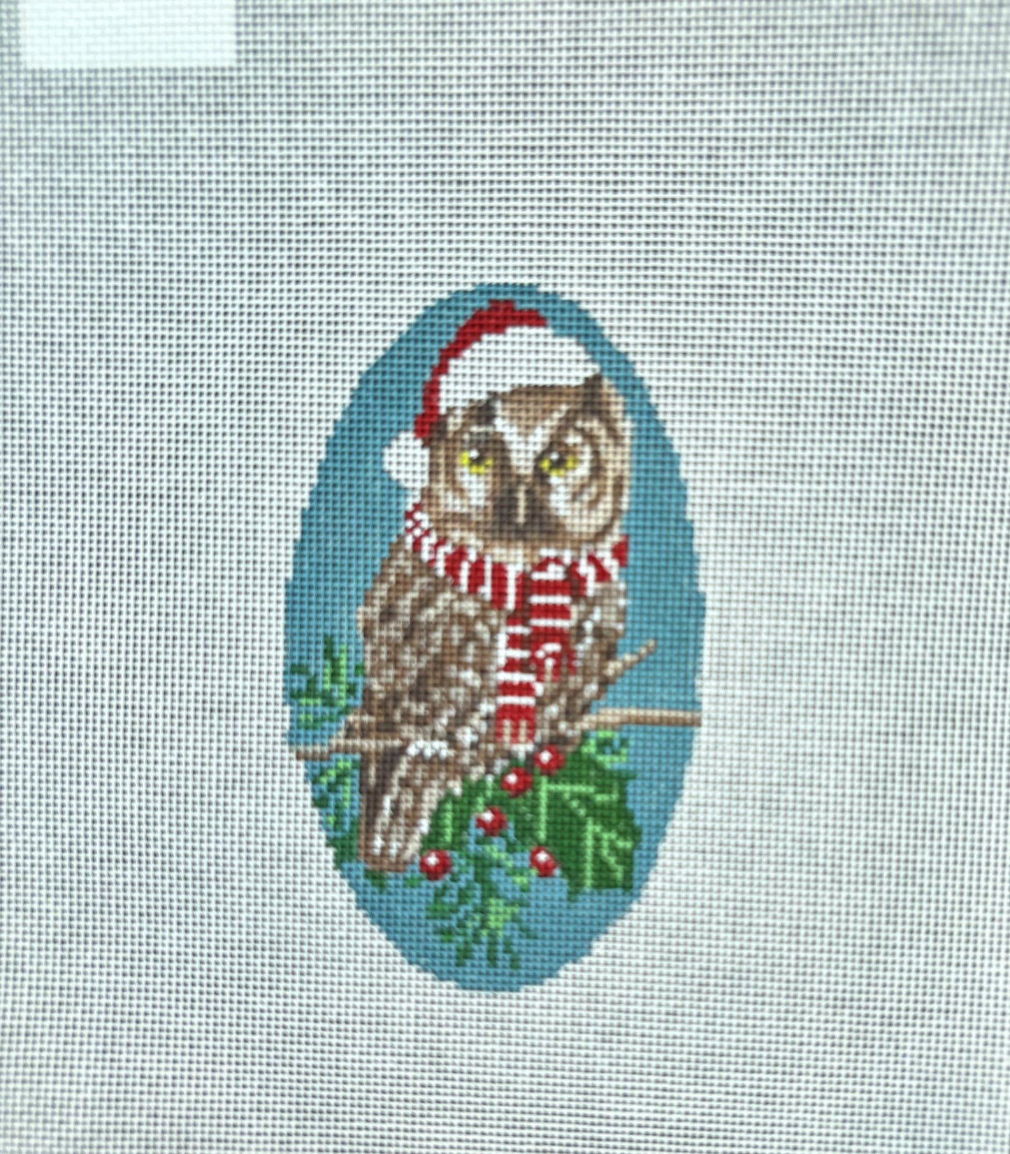 Owl in Tree