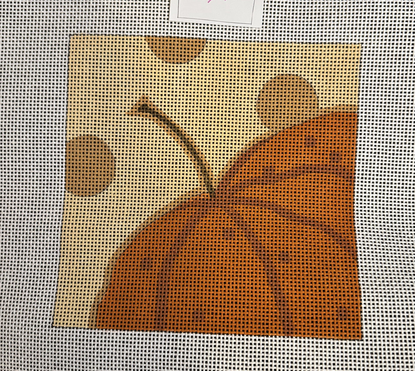 Pumpkin with Circles