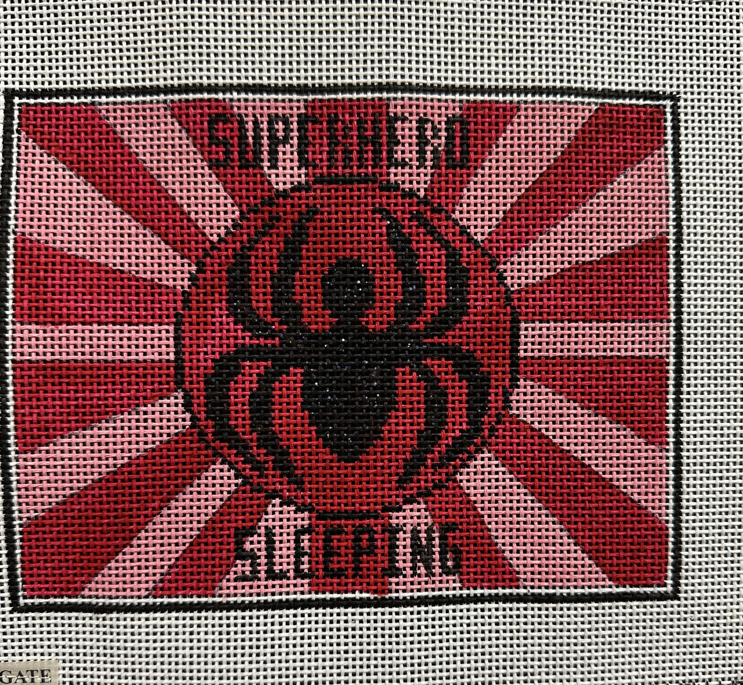 Superhero Sleeping Canvas - Garden Gate Needlepoint